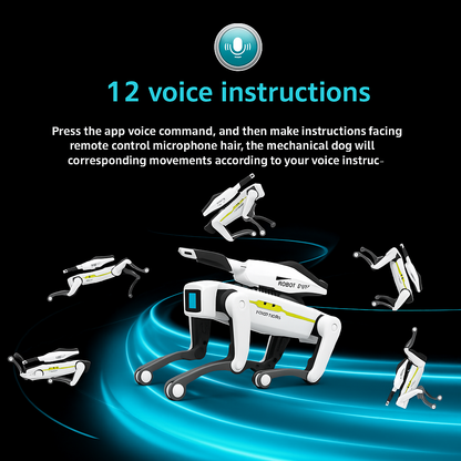 AetherLabs StrideBot K9 Pro